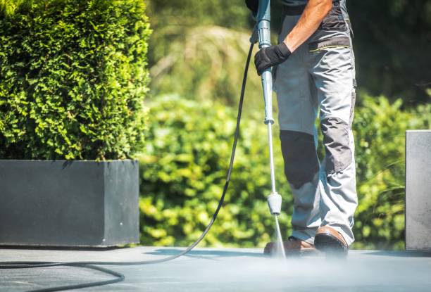 Best Vinyl Siding Pressure Washing in Shackle Island, TN