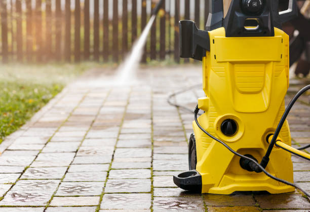 Best Roof Cleaning and Mildew Removal in Shackle Island, TN