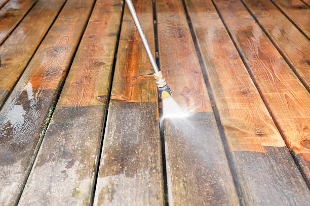 Best Soft Washing for Delicate Surfaces in Shackle Island, TN